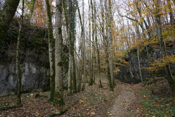 Idyllische Wanderung durchs Churz- und Langloch nach Schaffhausen