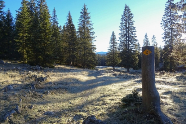 Wanderung auf den Mont Tendre im Parc Jura vaudois