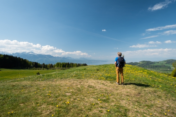 Dall’Altopiano vodese al Lavaux