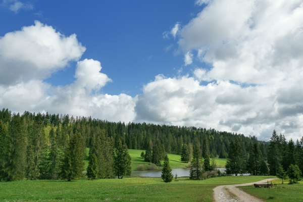 Una gola selvaggia nelle Franches-Montagnes