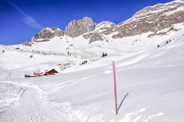 Verträumte Schneelandschaft