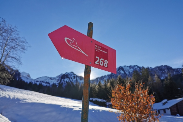 Rundtour auf Schneeschuhen im Greyerzerland