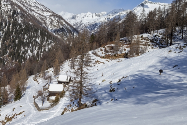 Attraverso la natura selvaggia della Val Lavizzara