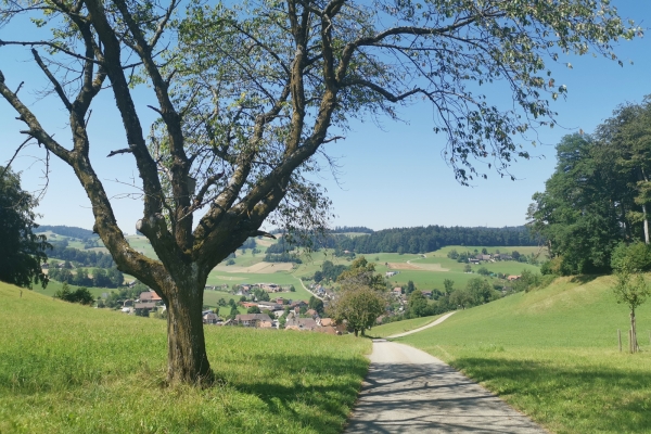 Escursione in altura nell’Alta Argovia