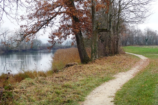 Le long des rivières