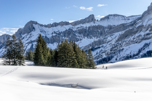 Sonne geniessen vor den schattigen Diablerets