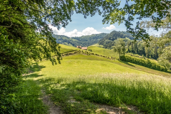 Auf und ab im Tössbergland