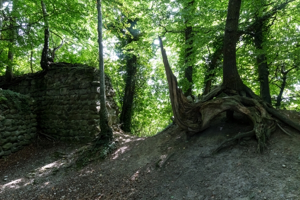 Burgruinen um Kradolf-Schönenberg