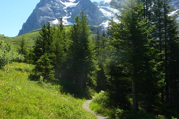 Tragedie e trionfi sull’Eiger