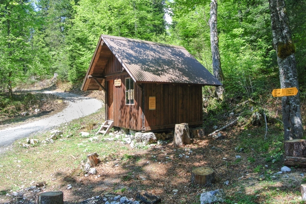 S’enfoncer dans la forêt du Risoux