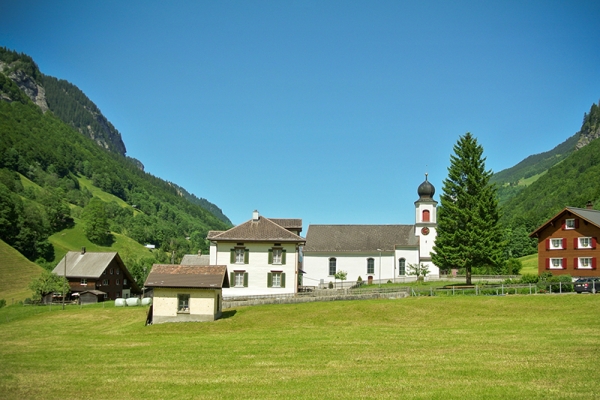 Igel im Weisstannental