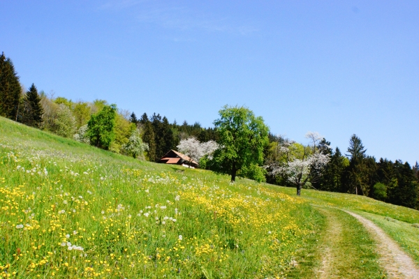 Di borgo in borgo nella campagna lucernese