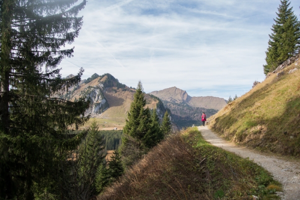 Moorelfen und Mürtschenstock