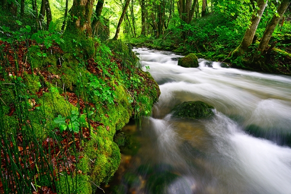 Lungo il selvaggio fiume Aubonne