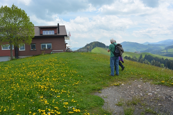 Collines du Toggenburg 