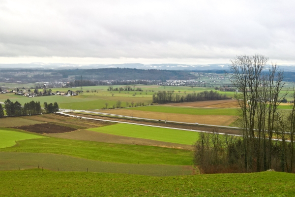 Von Attiswil nach Wangen an der Aare