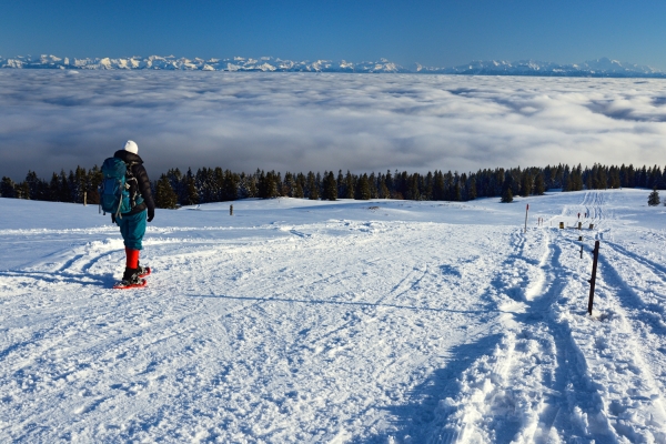 Panorama au Chasseron