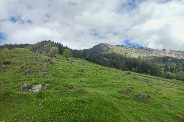 Su e giù nella zona della frana di Goldau