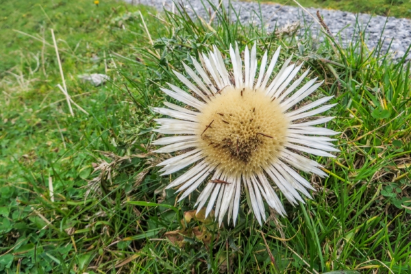 Bergwanderung in den Schwyzer Alpen