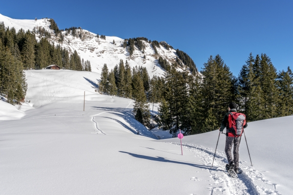 Sonne geniessen vor den schattigen Diablerets