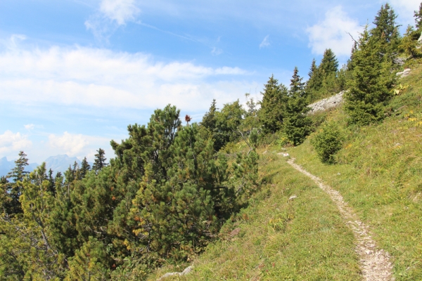 Al sole, sopra la valle del Rodano