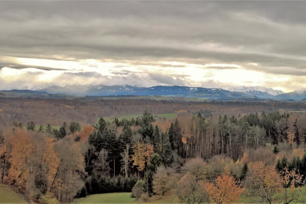 Dem Gäbelbach entlang nach Bern