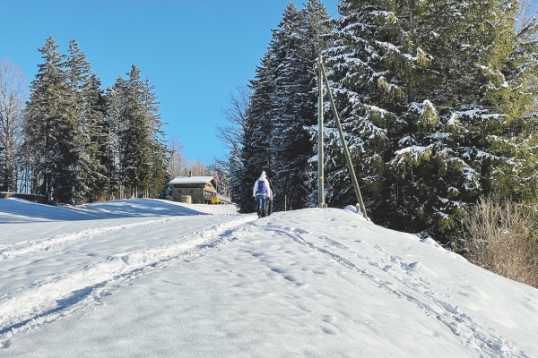 Schneeschuhtour - Jahresausklang beim Urnäscher Fondue