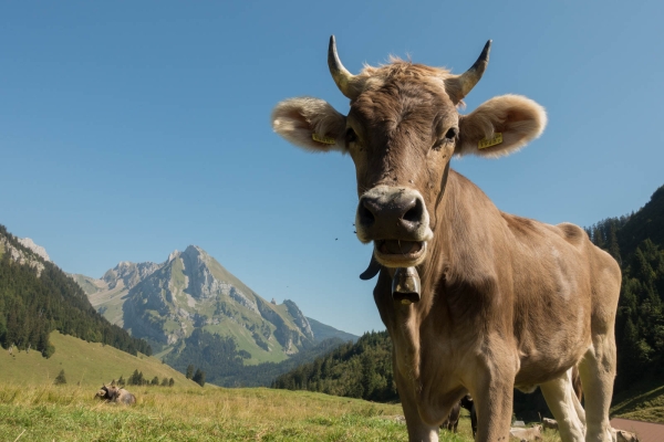 Badespass und Windenpass