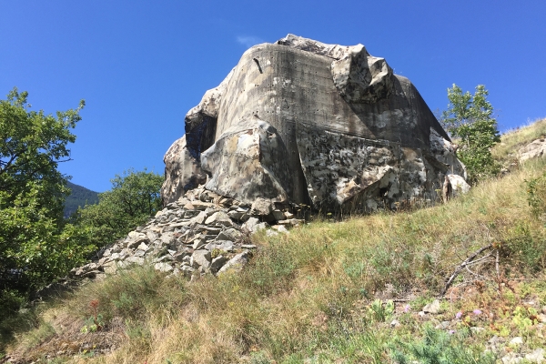 Natur pur am Rhoneknie