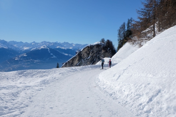 En hiver sur les traces du dahu