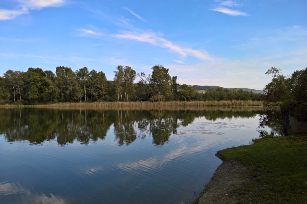 De l'Ittingen à Stammheim