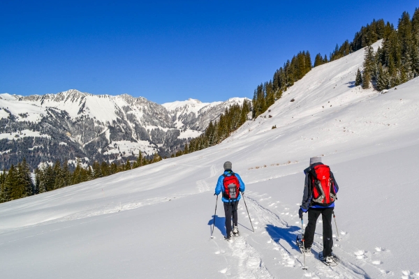 Das Stockhorn im Blick BE