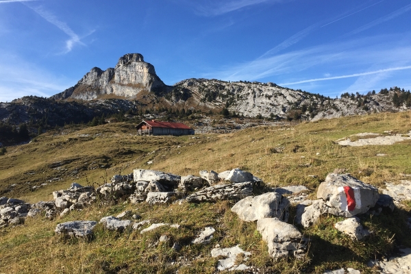 Les mythiques Tours de Leysin