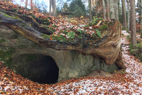 Tunnelgang im Scherligrabe