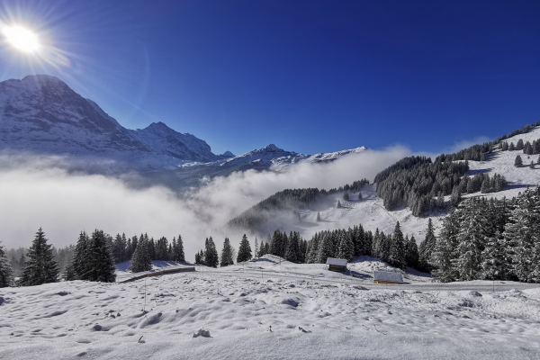 Am Sonnenhang von Grindelwald