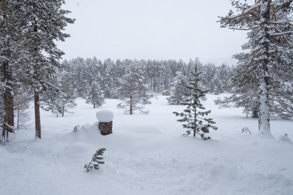 Winterseenwanderung bei St. Moritz