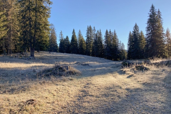 Wanderung auf den Mont Tendre im Parc Jura vaudois