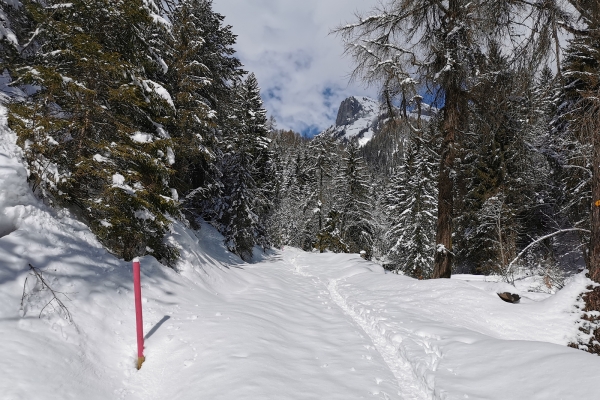 Winterliche Tour im Tal der Salentse