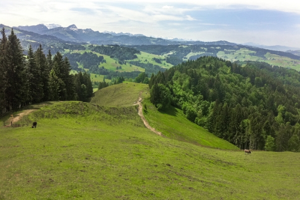 Von St. Peterzell nach Waldstatt