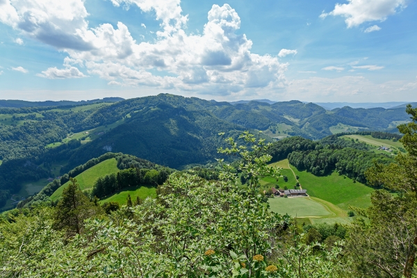 Géologie de la colline du Hirnichopf 