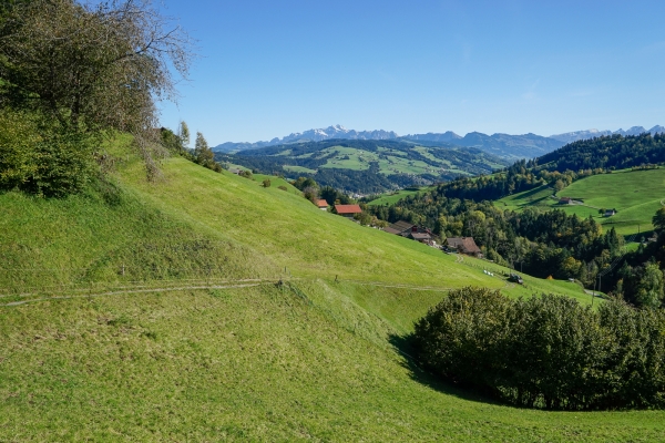 In den St. Galler Ausläufern des Tössberglandes