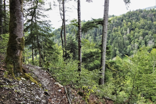 Ein Weg zum 40. Geburtstag des Kantons Jura