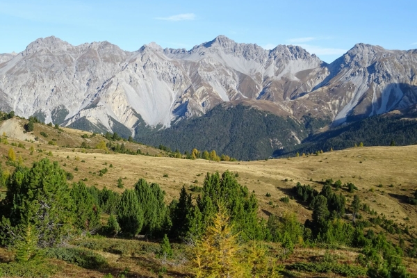 Auf den Munt la Schera im Nationalpark