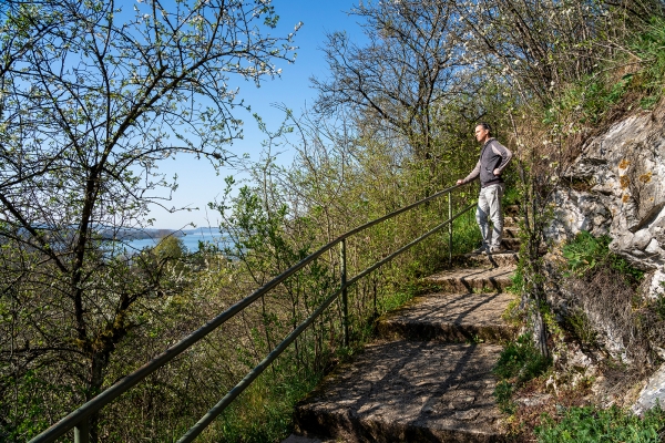 Stadtspaziergang durch Biel