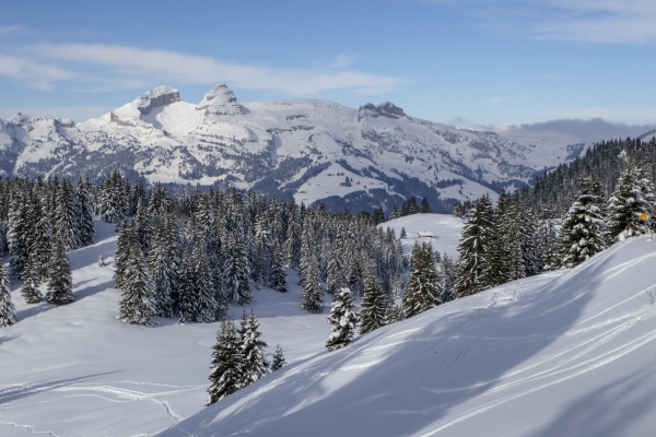 Les Alpes vaudoises en hiver