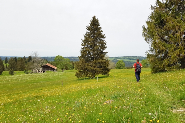 L’énergie dans le Jura bernois