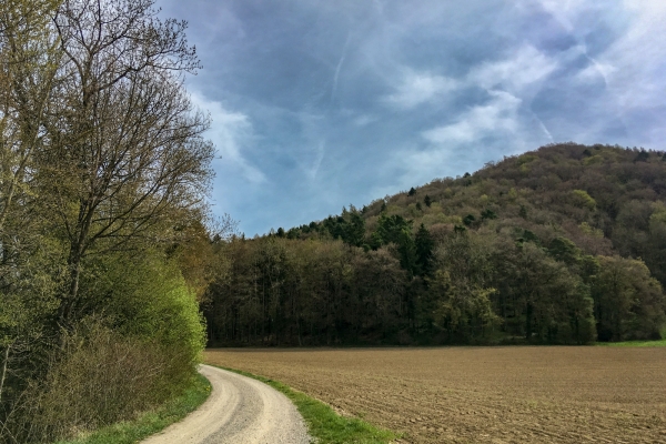 Randonnée panoramique au-dessus du Rhin