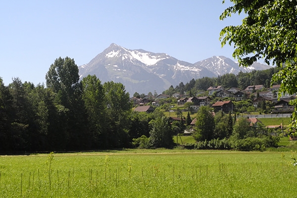 Dem See entlang von Gwatt nach Spiez