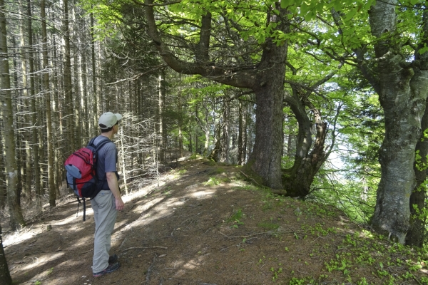 Aussichtsreiche Höhen in den Freiburger Voralpen