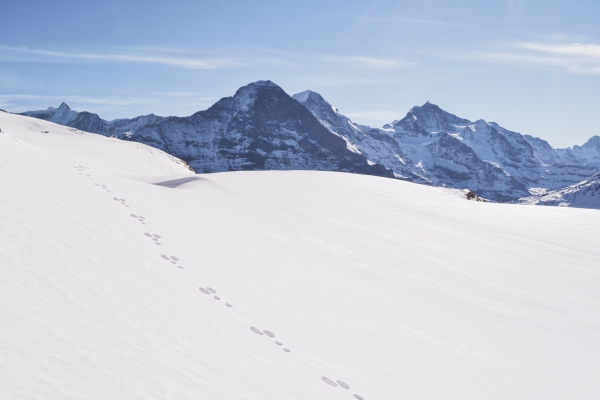 Im Reich des Winterwanderns am Faulhorn